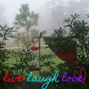 Meet your Posher, Leasa